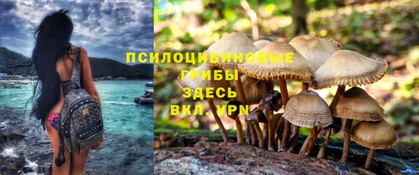 дурь Абинск