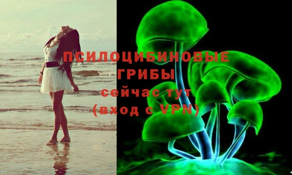 дурь Абинск