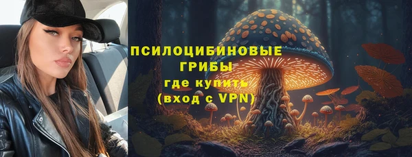 сатива Абаза